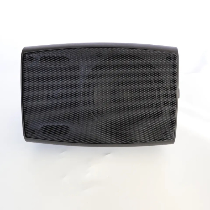 6 inches 30w Passive Sound, Bubble Edge Bass, Professional Wall Rack-Pro Speaker Factory