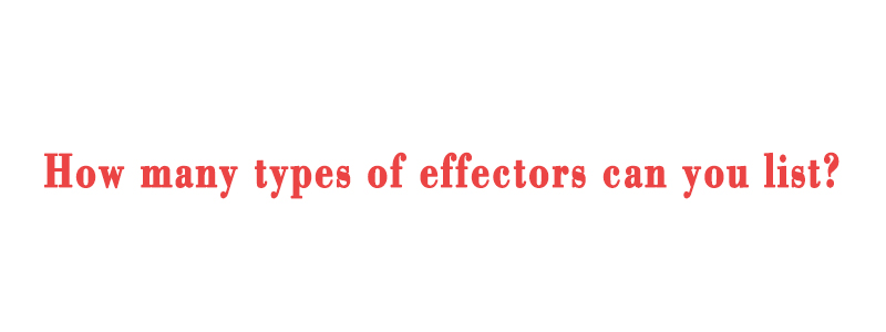 Introduce some common types of effectors